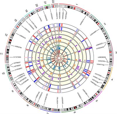 Forensic Features and Genetic Structure Analyses of the Beijing Han Nationality Disclosed by a Self-Developed Panel Containing a Series of Ancestry Informative Deletion/Insertion Polymorphism Loci